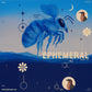 Ephemeral - Creative Drum Kit