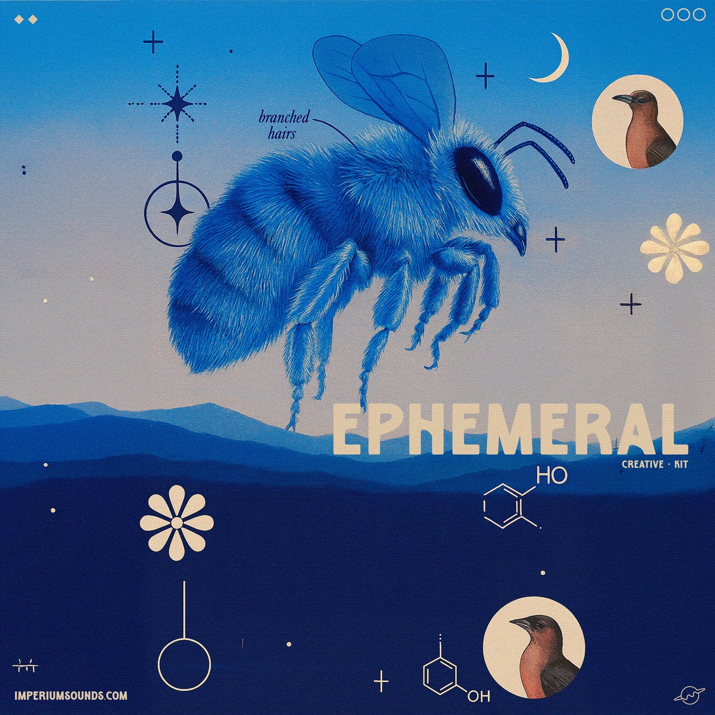 Ephemeral - Creative Drum Kit