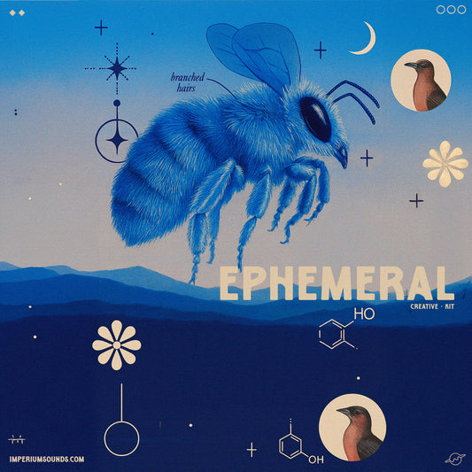 Ephemeral - Creative Drum Kit