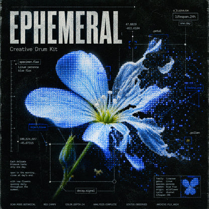 Ephemeral - Creative Drum Kit